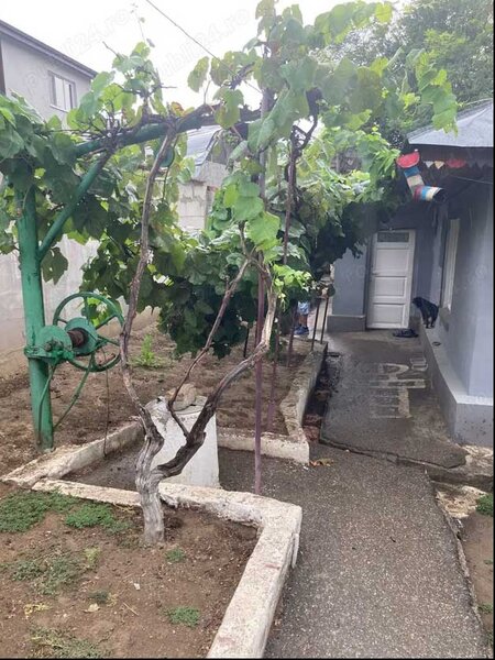 Pantelimon, Bucuresti.